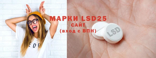 стафф Елизово