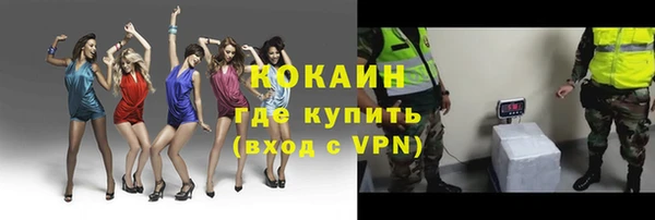 стафф Елизово