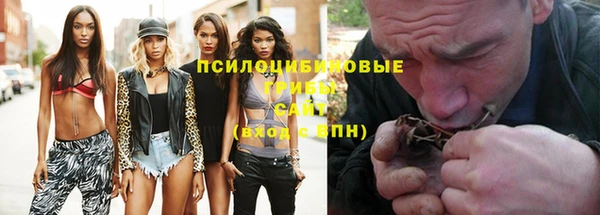 мдпв Дмитров