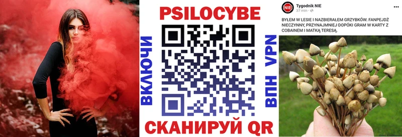 Галлюциногенные грибы Cubensis  Купить где  Красный Сулин 